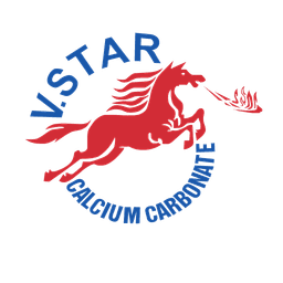 V.Star Mineral JSC