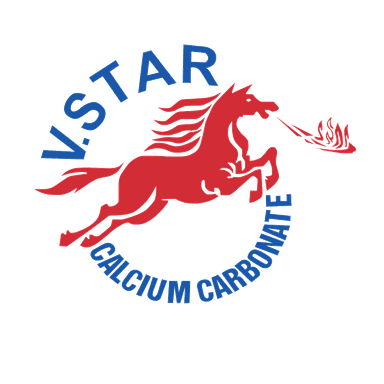 V.Star Mineral JSC
